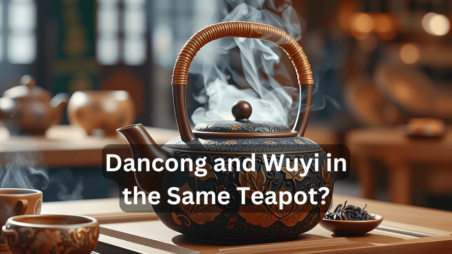 Dancong and Wuyi in the Same Teapot? In 2024..